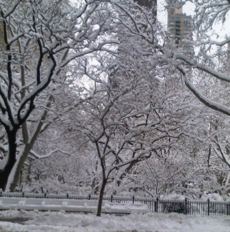IMG00071-20110127-1115